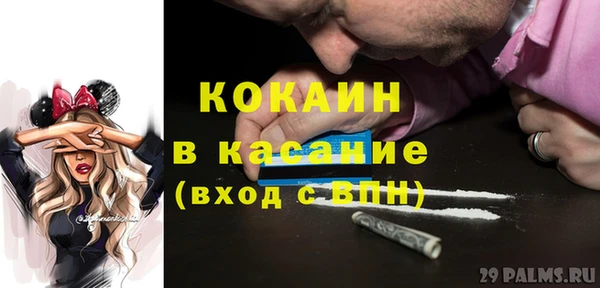 стаф Алексин