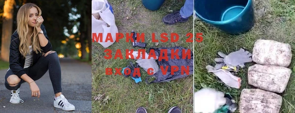 PSILOCYBIN Алзамай
