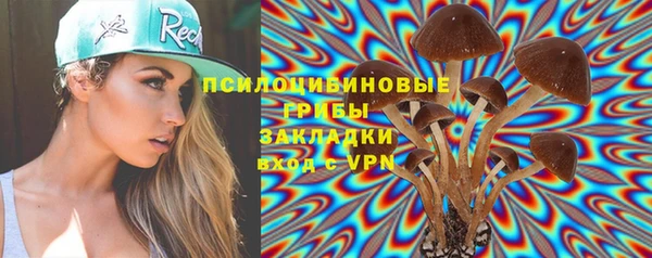 PSILOCYBIN Алзамай