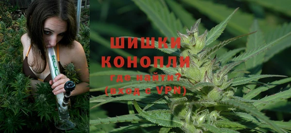 PSILOCYBIN Алзамай