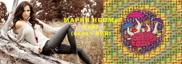 стаф Алексин