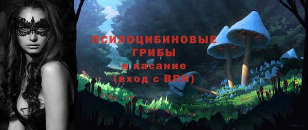стаф Алексин