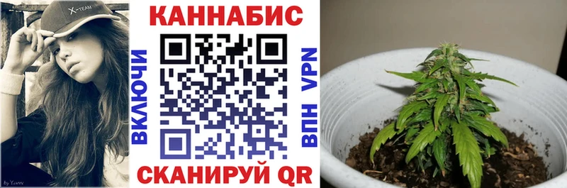 Шишки марихуана AK-47  даркнет сайт  Вихоревка 